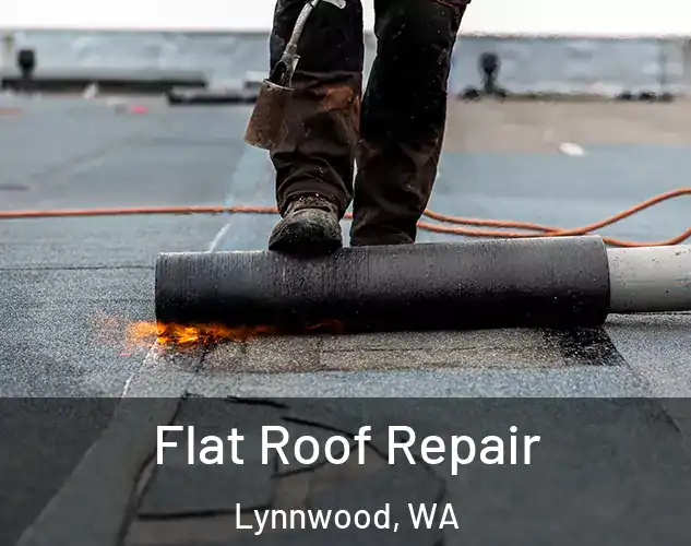  Flat Roof Repair Lynnwood, WA