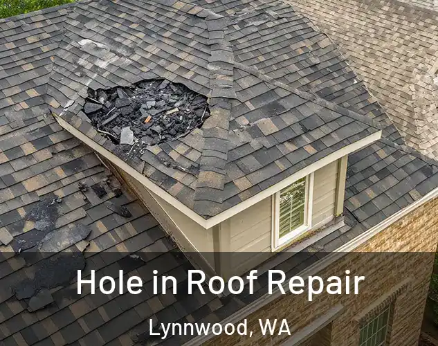  Hole in Roof Repair Lynnwood, WA
