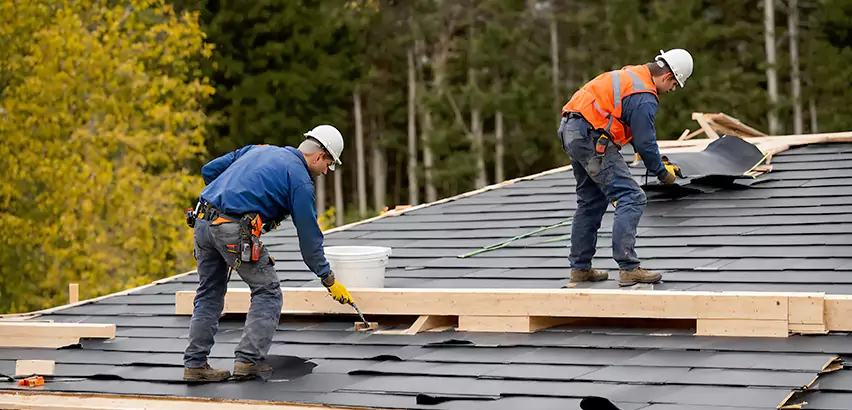 Agricultural Roof Maintenance Lynnwood