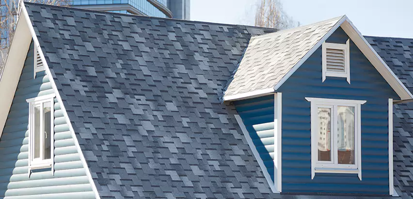 Shingle Roof Maintenance in Lynnwood