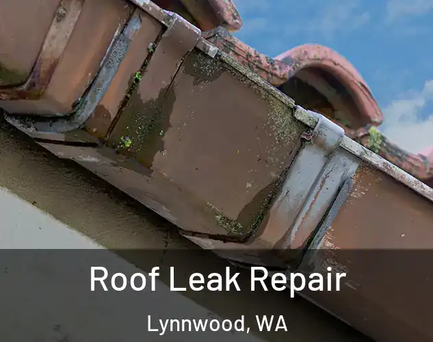  Roof Leak Repair Lynnwood, WA