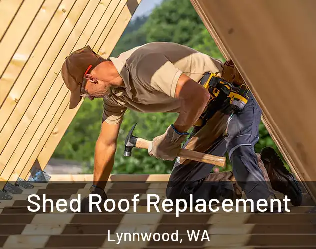  Shed Roof Replacement Lynnwood, WA